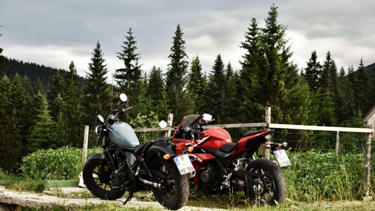 Motorbikes in front of forrest